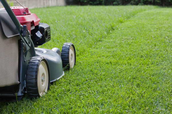 mowing the lawn