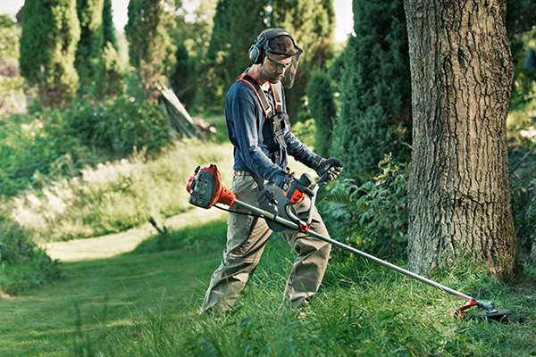 trimming the lawn